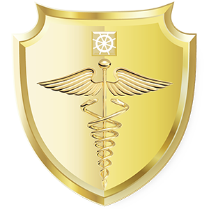 領航生物醫學股份有限公司 Logo